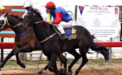 Frenardi, ridden by Ian Coombes (in blue and red), overtakes Try Some Magic to win by the barest of margins in the feature race of The Gympie Times Champagne and Roses Race Day on Saturday. Frenardi, ridden by Ian Coombes (in blue and red), overtakes Try Some Magic to win by the barest of margins in the feature race of The Gympie Times Champagne and Roses Race Day on Saturday.